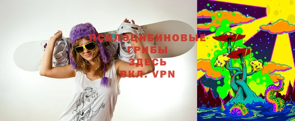 прущая мука Рославль