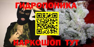 гидра Мариинск