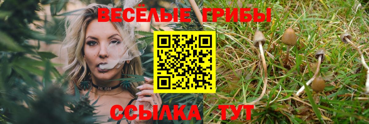 Галлюциногенные грибы Psilocybine cubensis  Псилоцибиновые грибы прущие грибы  Вход с VPN  Еманжелинск 